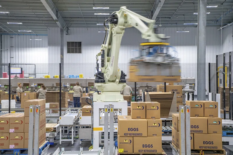 Moving In the Factory for Rent and Setting Up Operations
