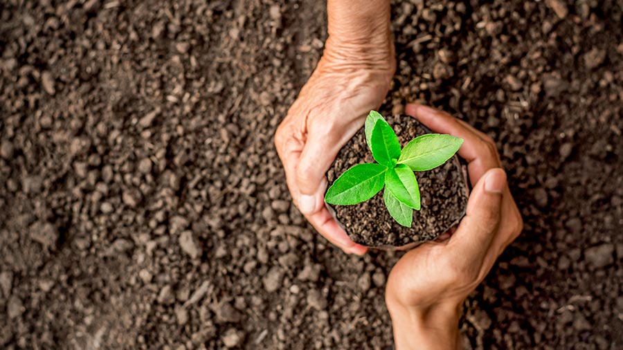 Sustainability ethos in Vietnam IP