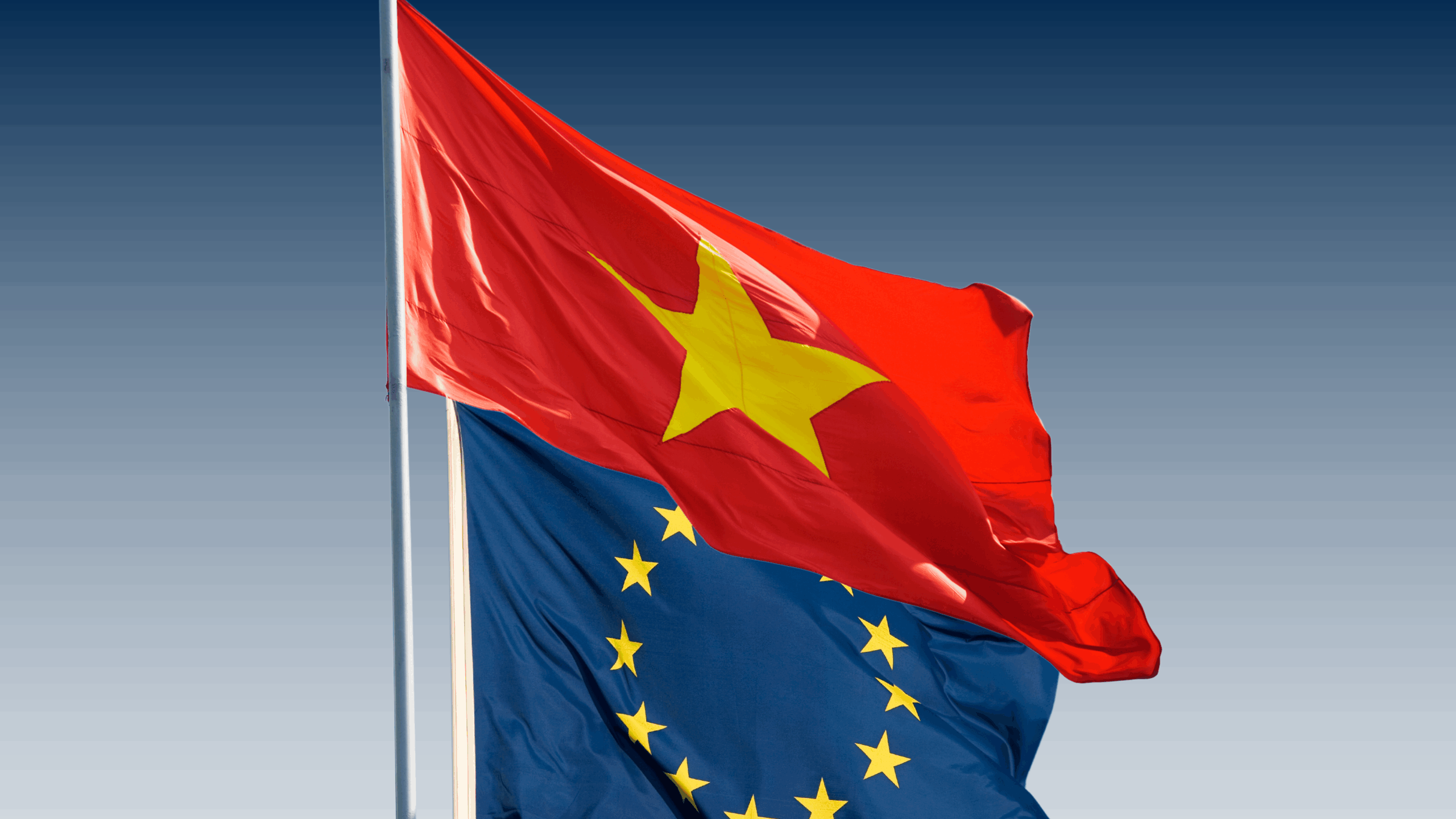 EU–Vietnam